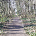Maßnahmenkonzept für den Eichenpark