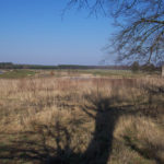 Landschatfsplanung - Integriertes Regionales Entwicklungskonzept und Landschaftsplan Gemeinde Göhren-Lebbin - Gelände