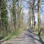 Maßnahmenkonzept für den Eichenpark