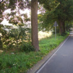 Landschaftsplanung - Landschaftspflegerischer Begleitplan / landschaftspflegerischer Ausführungsplan zum Straßenausbau Alt-Schulzendorf - Straßenbild