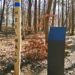 Freianlagenplanung für den Kur- und Heilwald der Müritz Klink